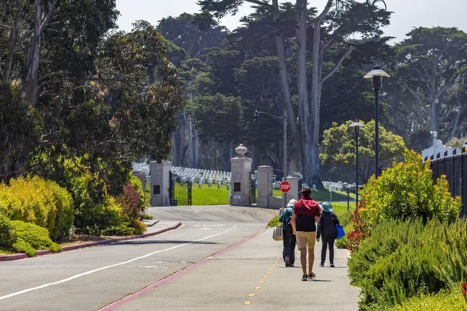 Understanding Sunnyvale's Unique Mold Challenges — Sunnyvale, CA
